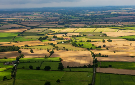 farming